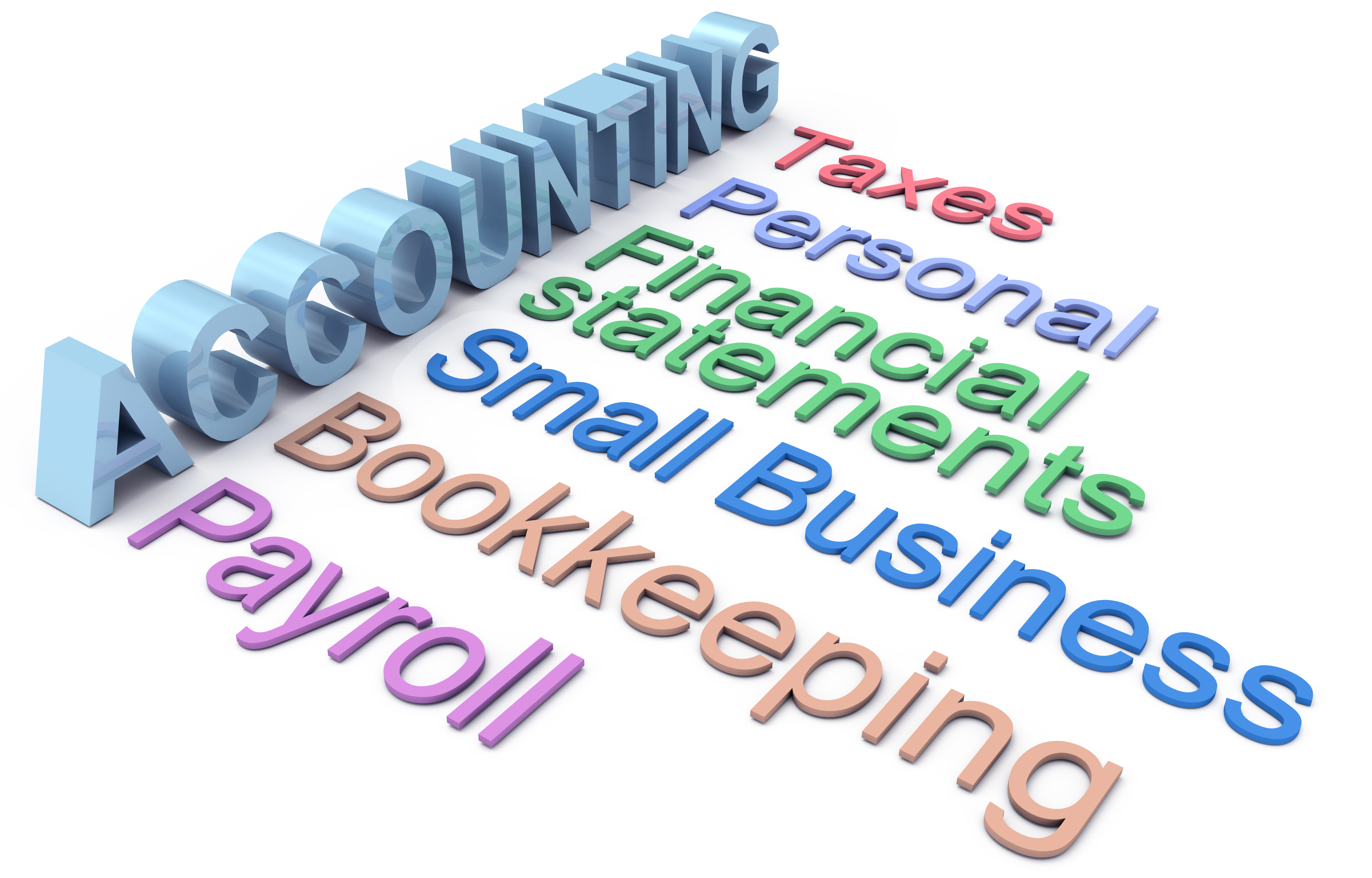 We offer accounting and bookkeeping services, financial statement preparation and payroll services to small businesses.